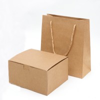PC013 Exquisite paper bag kraft paper box fashion shopping bag kraft paper bag green bag manufacturers back view